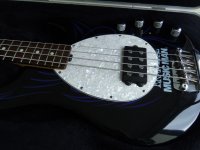 musicman-sterling-usa-1315912.jpg