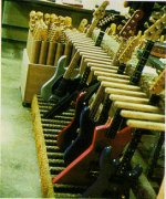Lower Shelf.jpg