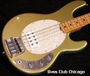 MusicManStingrayCL4GOLDMF-2.jpg