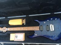 JP15 Blueberry.jpg