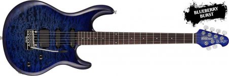 luke_bfr_blueberry_burst_quilt.jpg