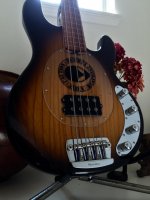 fretless.jpg fretless.jpg