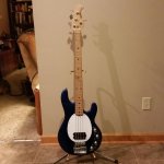 Stingray bass.jpg