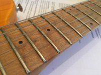 MM Fret 2.jpg