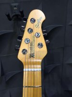 Stingray 2.jpg