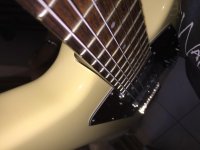 20160224_075045142_iOS.jpg