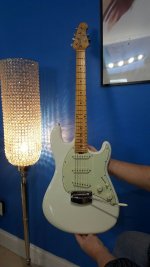 IMG_20160311_33198.jpg