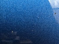 IMG_0202.jpg