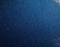 IMG_0203.jpg