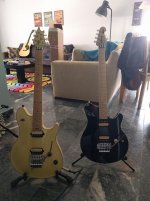 IMG_20160405_150516.jpg
