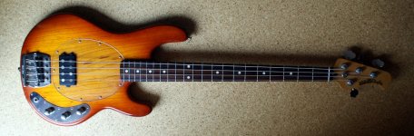 Stingray_25.jpg