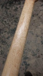 image.jpeg