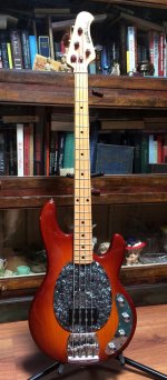 StingRay 1.jpg