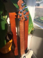 IMG_0558.jpg
