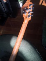 IMG_0059.jpg