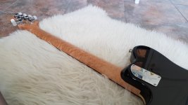 20160809_105337.jpg