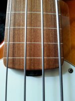 Frets.jpg
