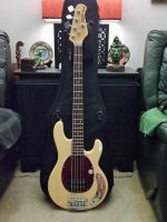 20161106_175901.jpg