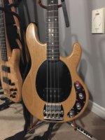 stingray 1.JPG