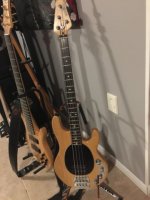 stingray 2.JPG