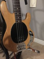 stingray 4.JPG