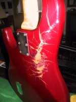 Stingray 5.jpg