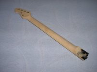 DSCN8252.jpg