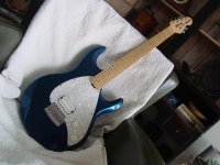 DSC00360.jpg
