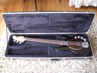 EBMM StingRay 4.jpg