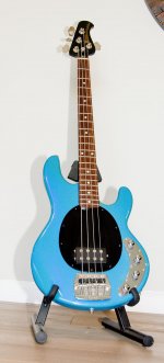 Stingray-1.jpg