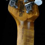 ernie-ball-music-man-axis-neptune-blue-roasted-maple-neck-g71196-headstock-back_4431ed395332.jpg