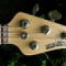 basschick22