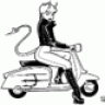 Kingracer