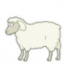 Dizzy's Sheep