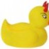 lameduck