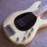 Blues Infidel