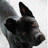 Lync