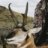 Moose308